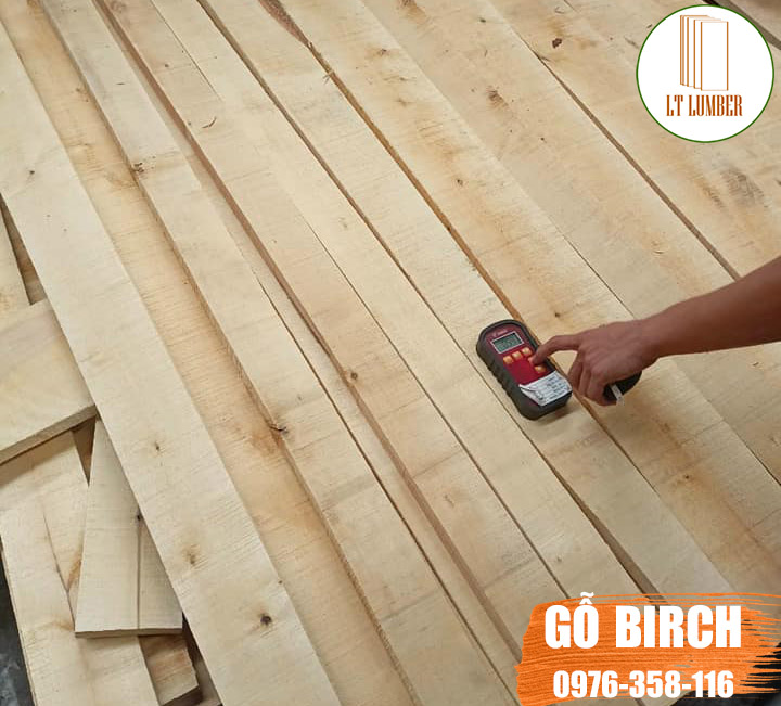 Gỗ bạch dương xẻ sấy (Gỗ birch) 19mm, 25mm, 32mm