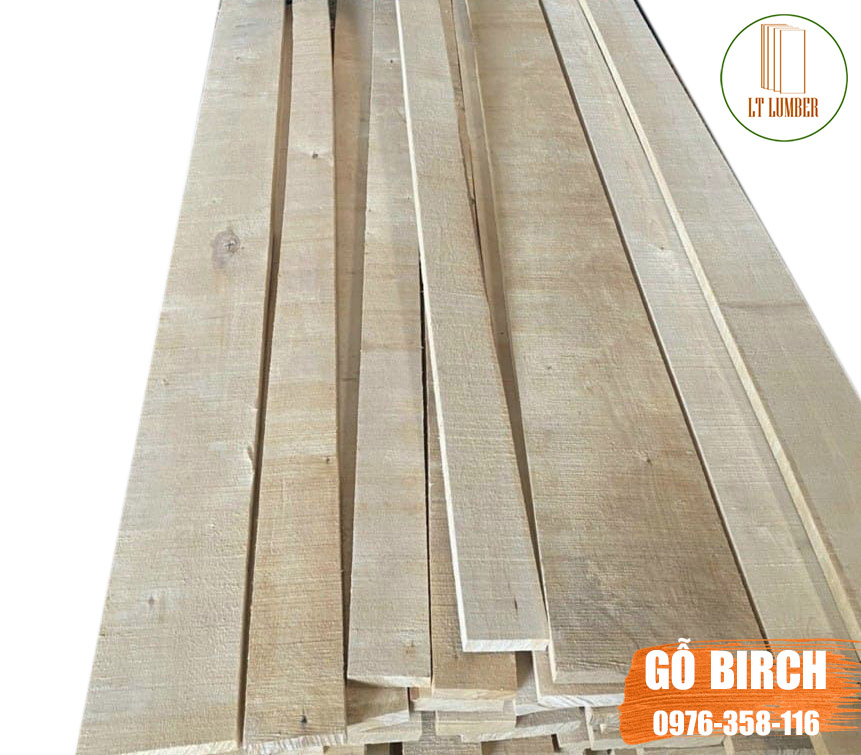 Gỗ bạch dương xẻ sấy (Gỗ Birch xẻ) nhập khẩu