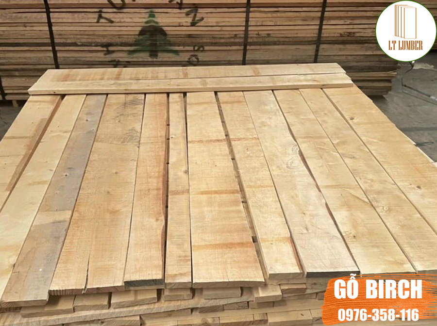 Gỗ bạch dương xẻ sấy (Gỗ birch) 19mm, 25mm, 32mm giá rẻ